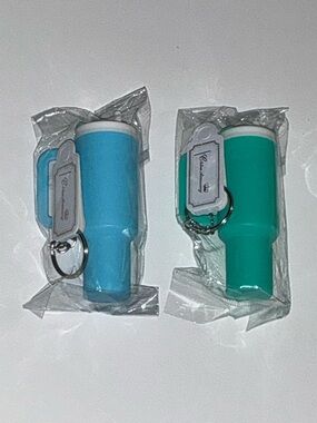 Mini Keychain Assorted Color Travel Mug Tumblers Spring Green and Blue